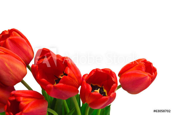  артикул 10044270