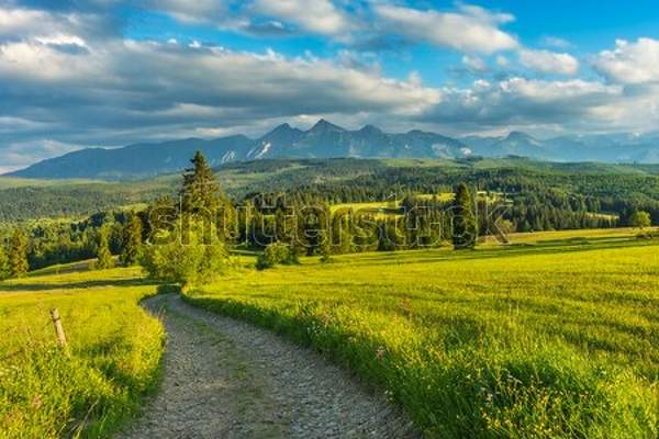 артикул 10044268