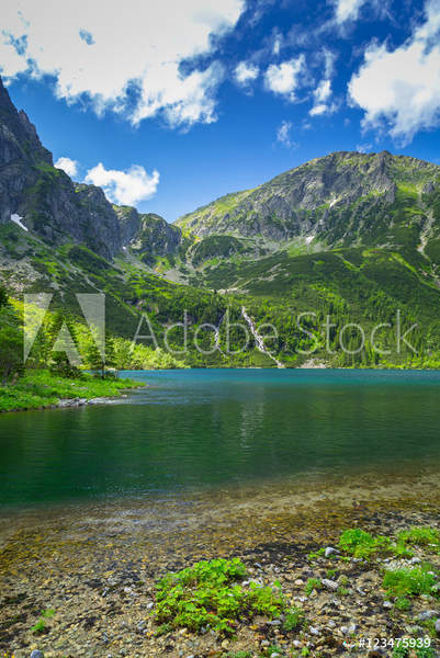  артикул 10044371