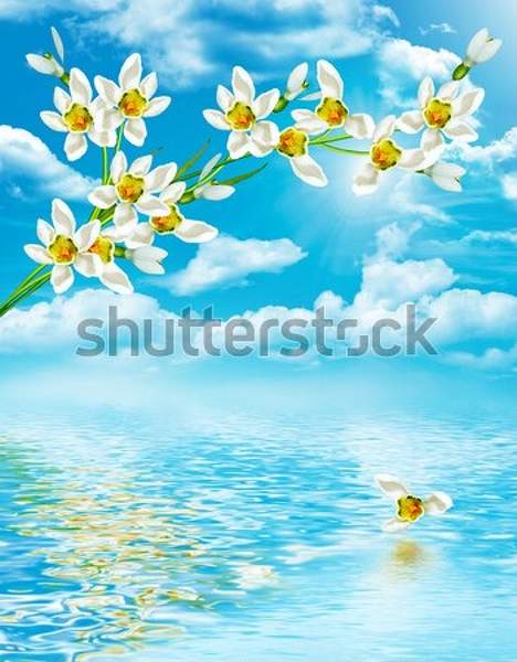  артикул 10044613