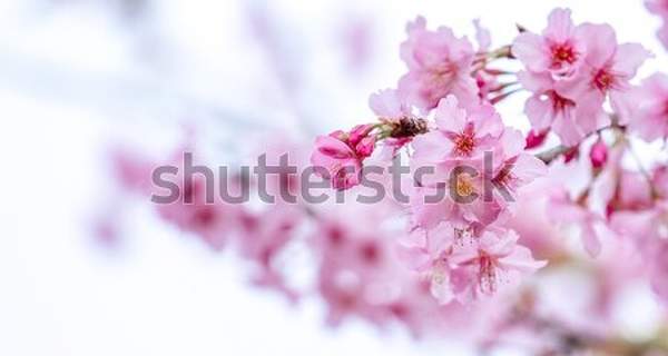  артикул 10044825