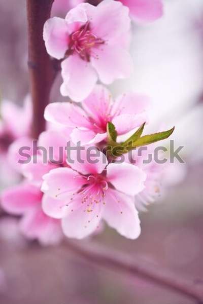  артикул 10044826