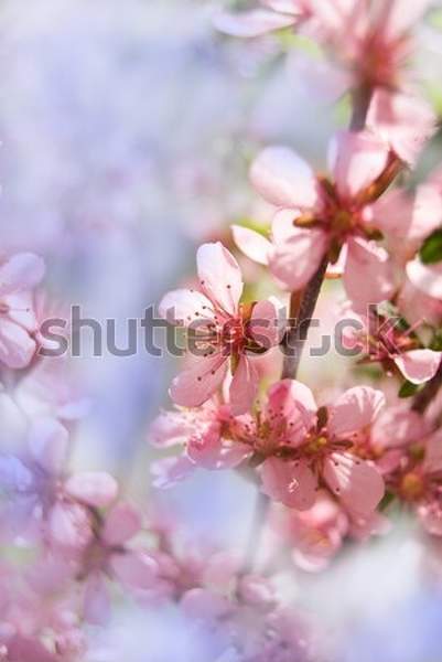  артикул 10044824