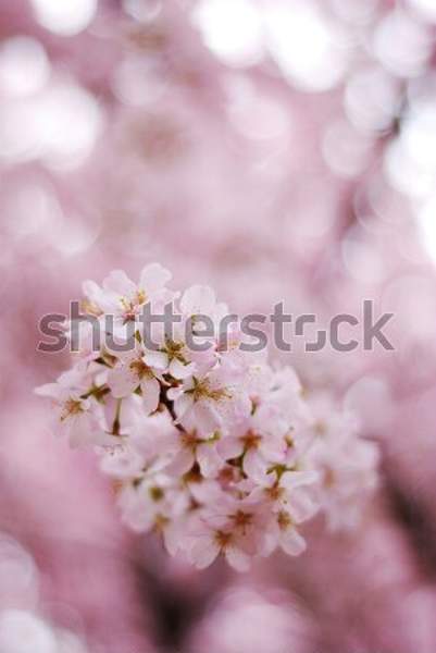  артикул 10044831
