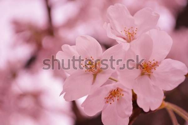  артикул 10044828
