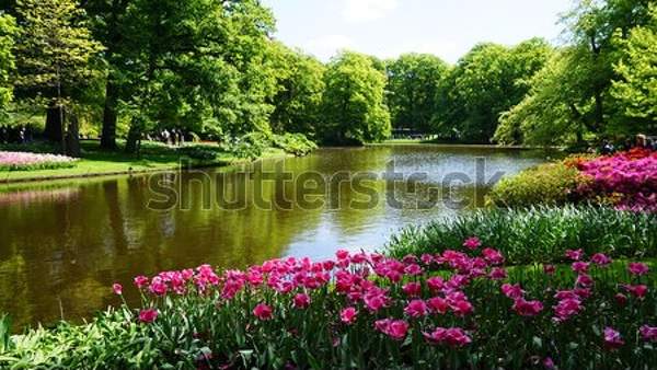  артикул 10044872