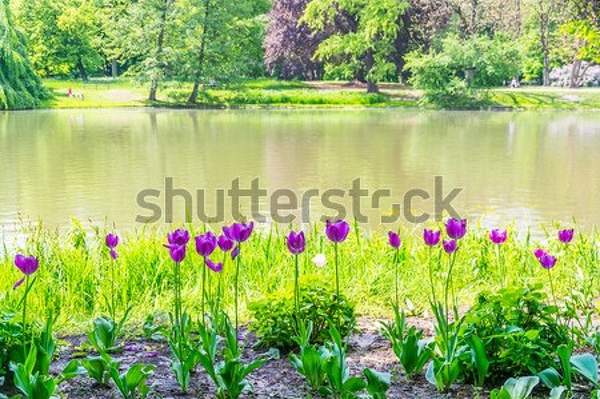  артикул 10044873