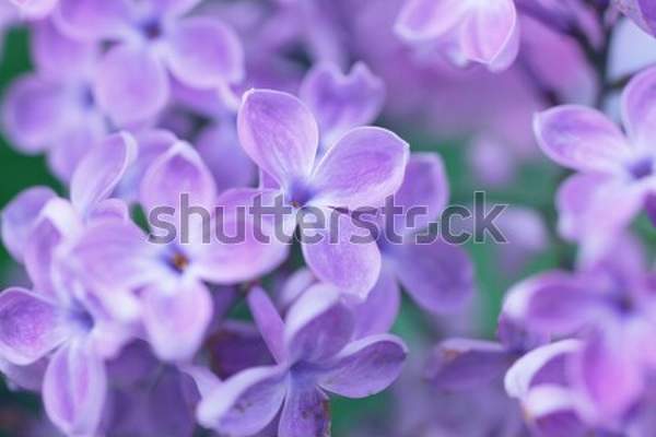  артикул 10044953