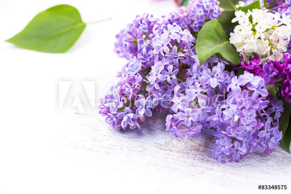  артикул 10044989