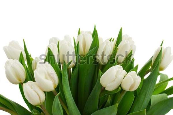  артикул 10045018