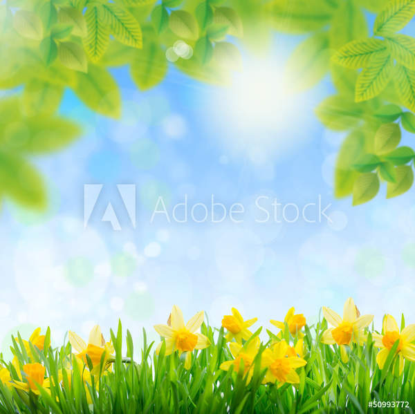  артикул 10045044