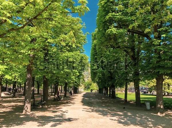  артикул 10045065
