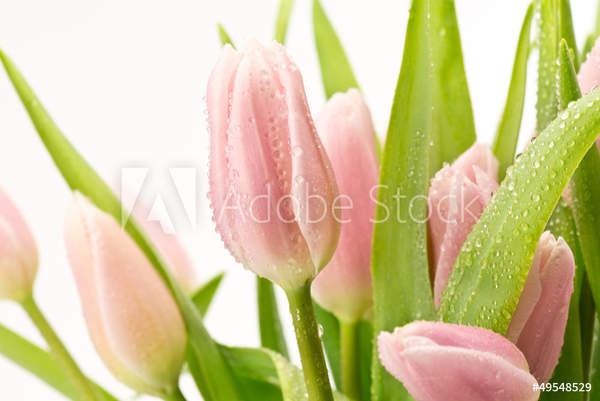  артикул 10045107