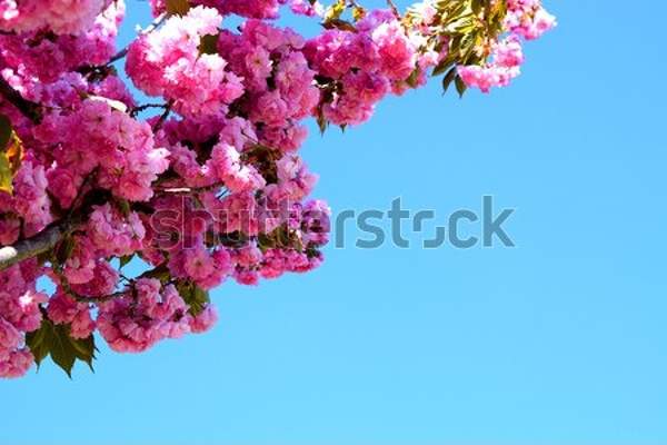  артикул 10045152