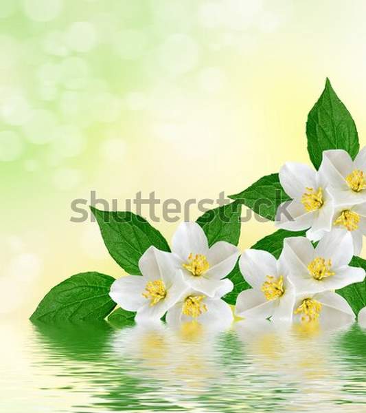  артикул 10045233