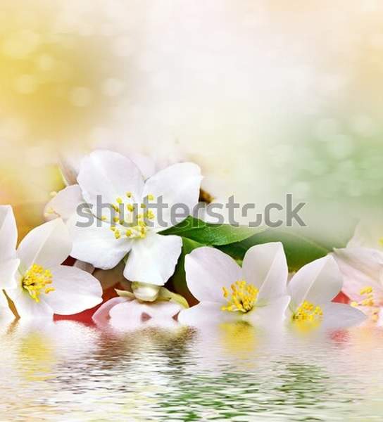  артикул 10045229