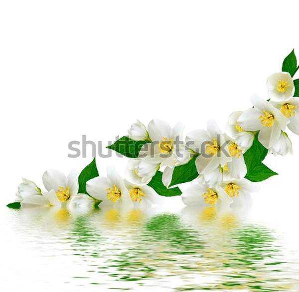 артикул 10045228