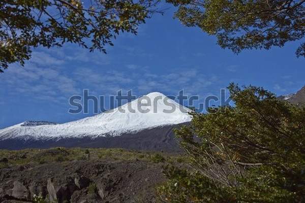  артикул 10045260