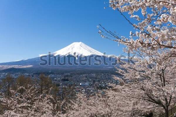  артикул 10045261