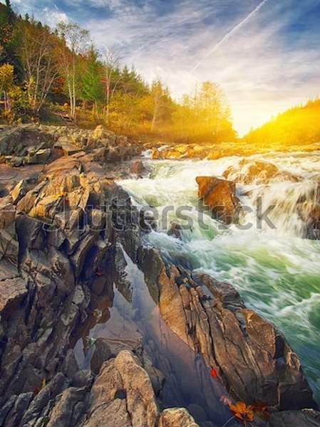  артикул 10045280