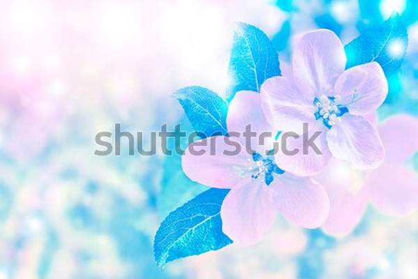  артикул 10045424