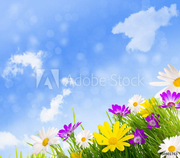  артикул 10045408