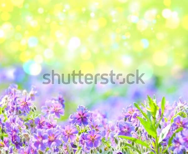  артикул 10045429
