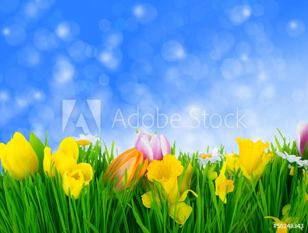  артикул 10045406