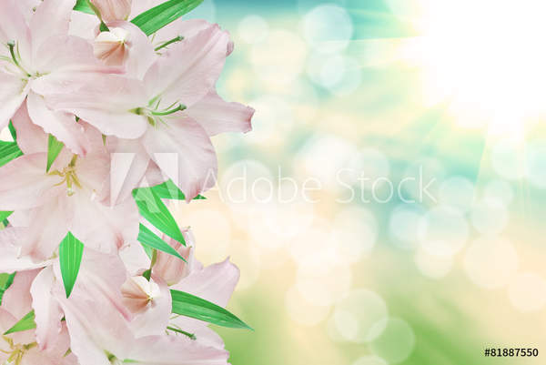  артикул 10045576
