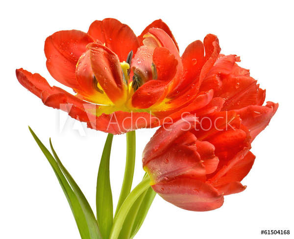  артикул 10045658
