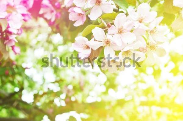  артикул 10045906
