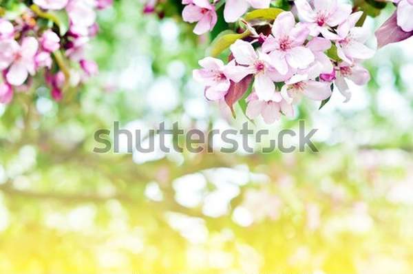  артикул 10045905
