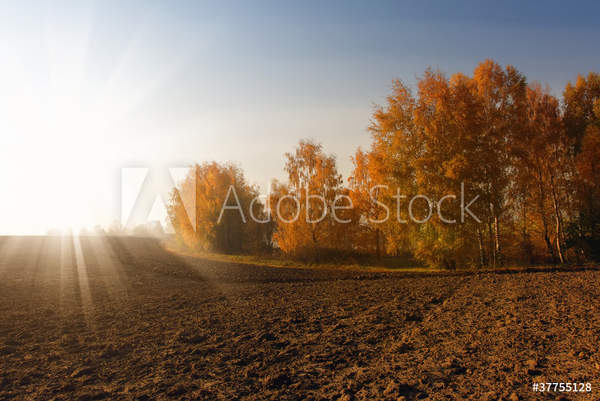  артикул 10045896