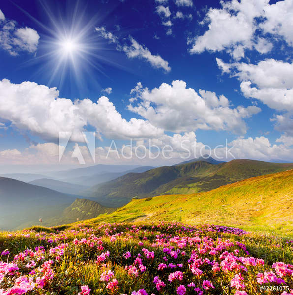  артикул 10046028