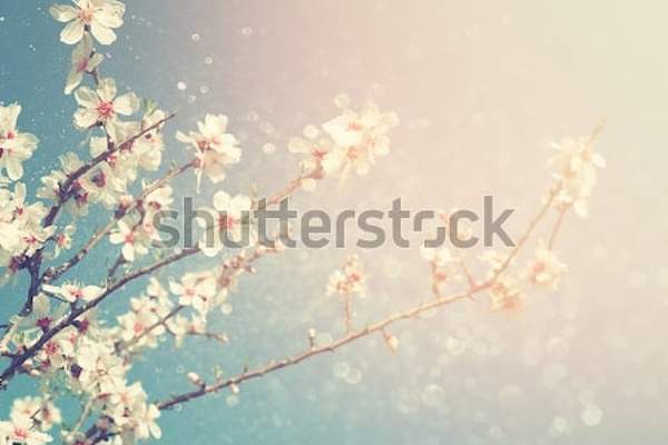  артикул 10046058