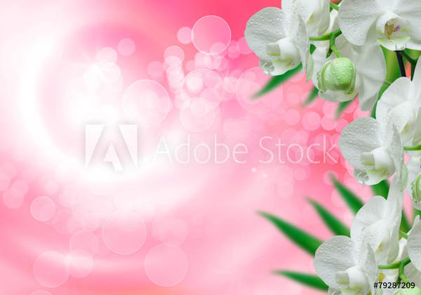  артикул 10046088