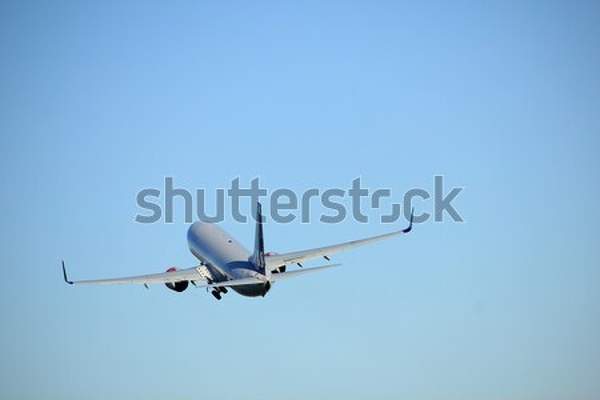  артикул 10046259