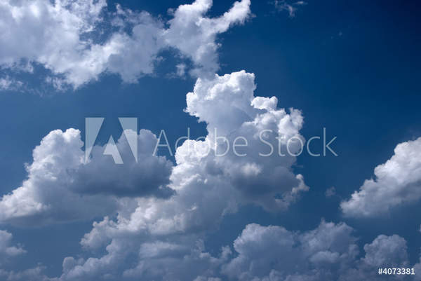  артикул 10046305
