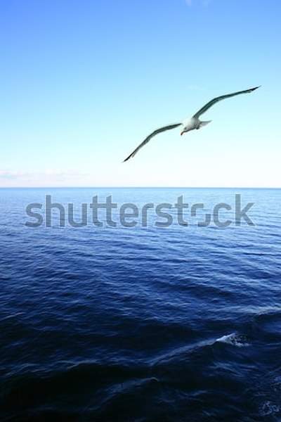  артикул 10046614