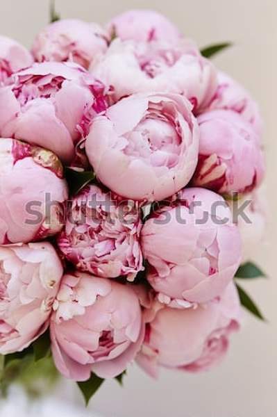  артикул 10046606