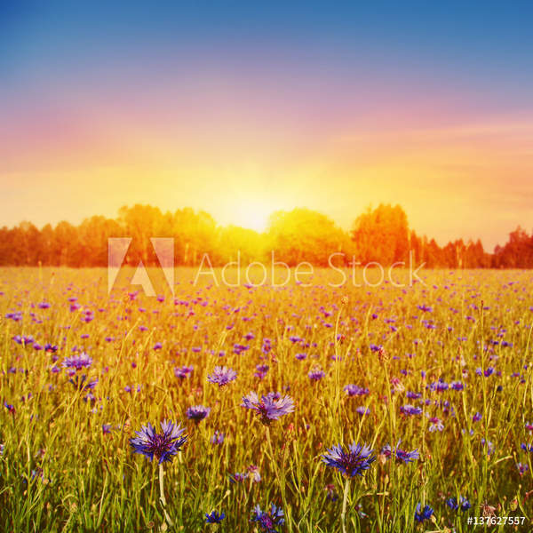  артикул 10046699