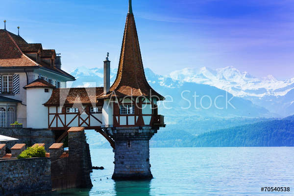  артикул 10046677