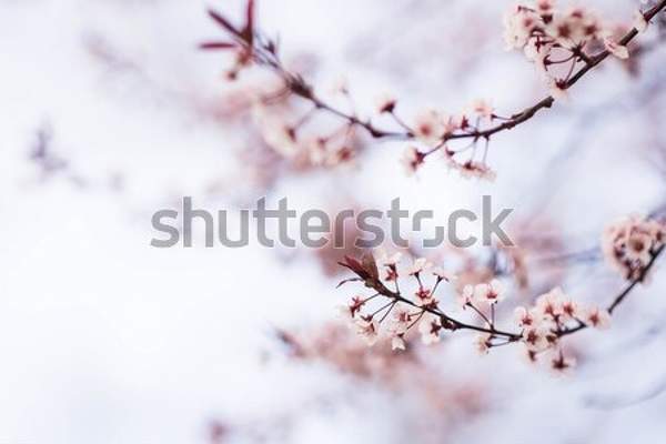 артикул 10046762