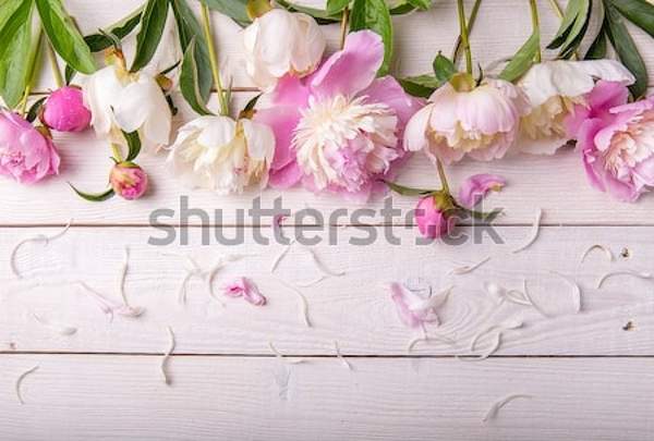  артикул 10046817