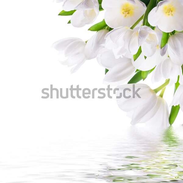  артикул 10046959