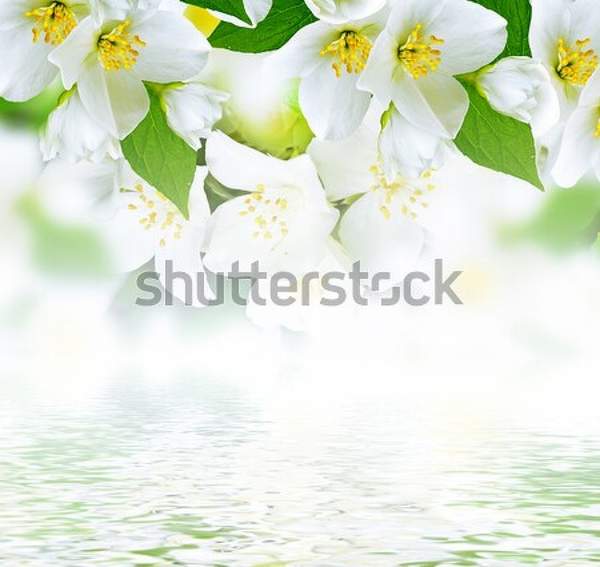  артикул 10046964