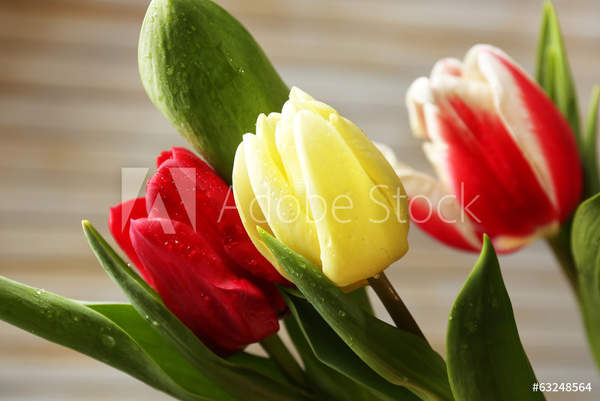  артикул 10046965