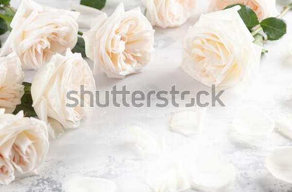  артикул 10047062