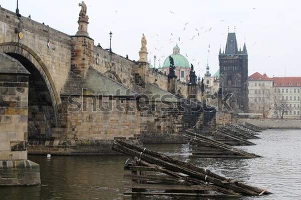  артикул 10047198