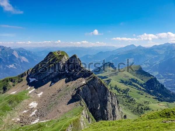  артикул 10047424